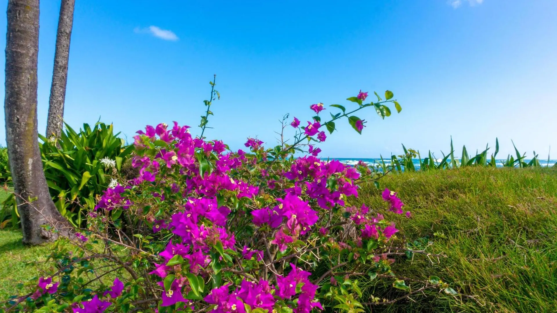 Hanalei Colony Resort H4 Ηνωμένες Πολιτείες της Αμερικής